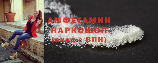 дмт Дмитров