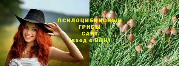 дмт Дмитров