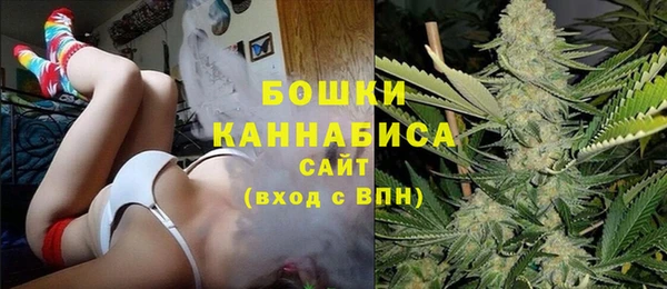 дмт Дмитров