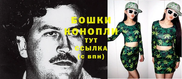 дмт Дмитров