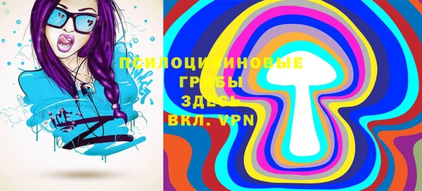 дмт Дмитров