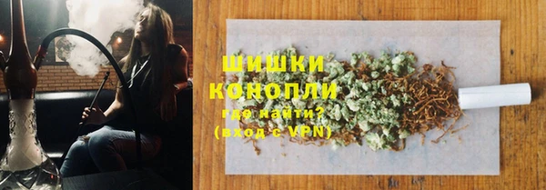 дмт Дмитров