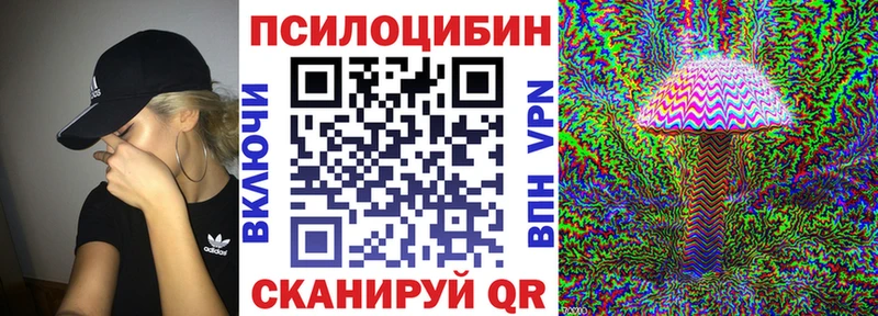 Купить где Чердынь Псилоцибиновые грибы MAGIC MUSHROOMS